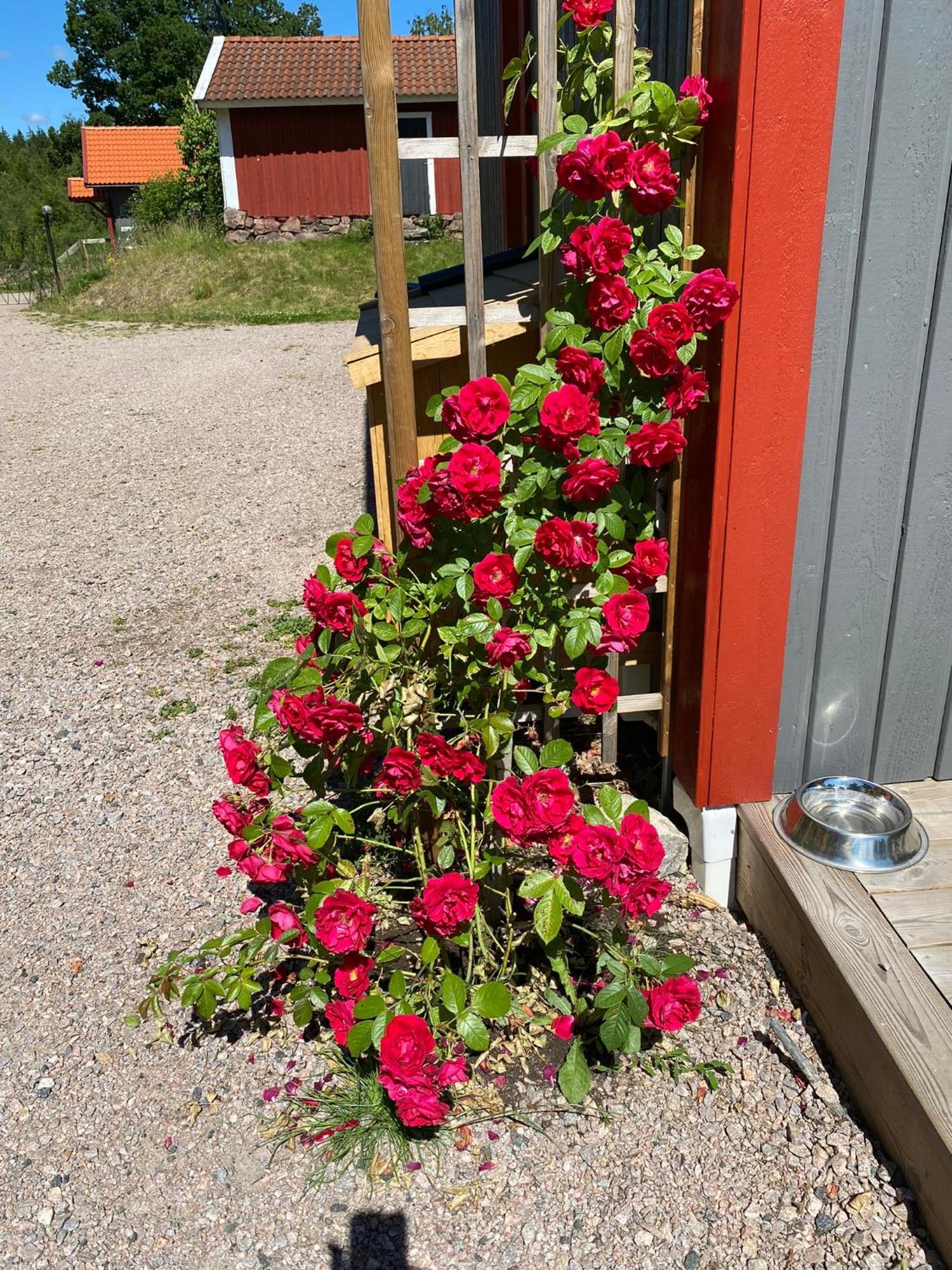 Joarsbo, Stuga 3, Klinten Kalv Buitenkant foto